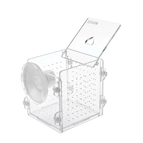 HYROOY Fish for Hatchery Incubator Aquarium Bing Box Acrylic BER Isolation Hatching Boxes with Suction Cup Acrylic von HYROOY