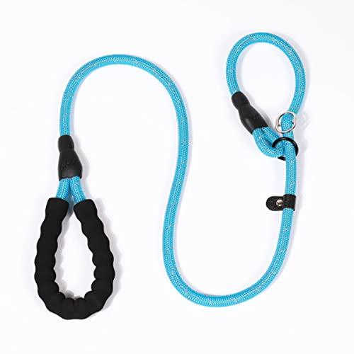 HYSoogut Reflektierende Hundeleine Verstellbare Führleine mit Halsband für Hunde Trainingsleine Klasse Hundeleinen (0.8 * 140cm,Blau) von HYSoogut