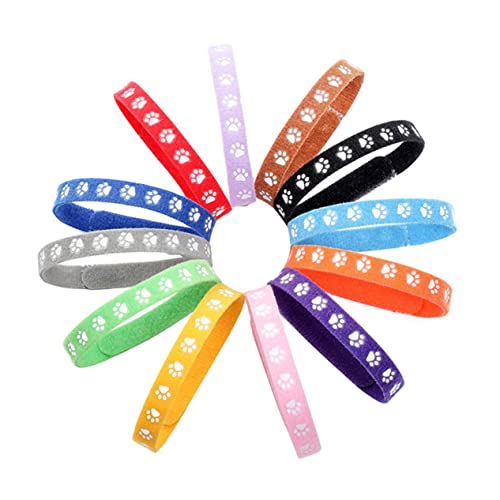 HYTROVE 12St Neugeborenes Haustier Halsband Neugeborene welpenhalsbänder für streu Halsband für Hunde Hund mittel pet Supplies Kitten Halsband Halskette für Haustiere hundezubehör von HYTROVE