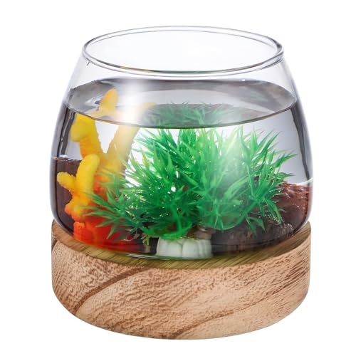 HYTROVE Goldfischglas-Ornament Desktop-Aquarium Panzer Kleines Fischglas Luft Containerhaus Aquarium Für Tischaquarium Dekorationen Für Aquarien Blumentöpfe Drinnen Tank Holz Transparent von HYTROVE