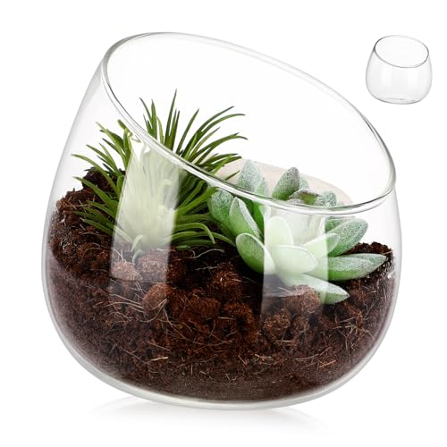 HYTROVE Vase Vasen Schüsselvase Bonbonglas Pflanzgefäße Für Zimmerpflanzen Kleiner Topf Terrarienbehälter Töpfe Für Pflanzen Pflanztöpfe Runde Vase Transparent von HYTROVE