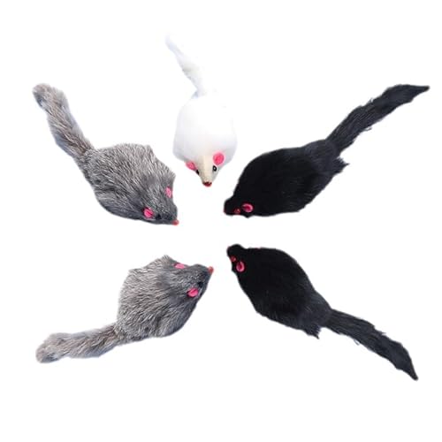 HYUIND 5/10 Stück Falsche Maus Katzenspielzeug Langhaarige Schwanzmäuse mit Sound Plüsch Stofftiere for Katzen Bissfestes Kätzchen Spielspielzeug(5pcs Random Color) von HYUIND