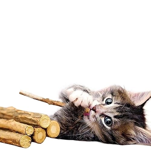 HYUIND 5 Stück Silvervine Sticks for Katzensnacks, natürliche Katzenminze, Reinigung der Zähne, Molaren, Kauspielzeug for Katzen und Kätzchen, lindert Langeweile von HYUIND