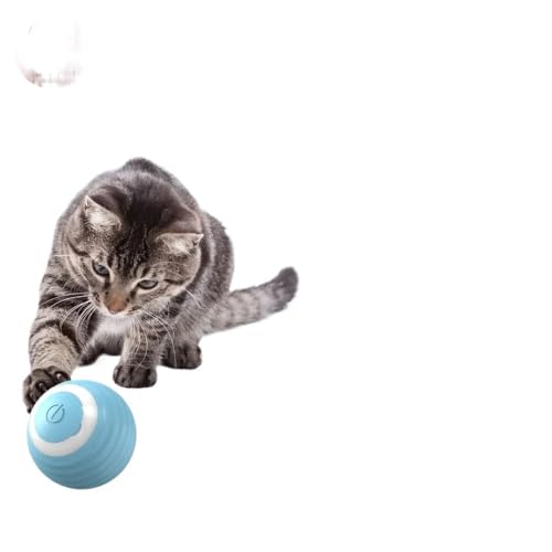 HYUIND Katzenball Katzenspielzeug Aufladen Interaktives Zubehör Spielzeug Automatische Funktion Mit Haustierspielzeug. Zubehör USB 360° drehbar(Blue 1Pcs) von HYUIND