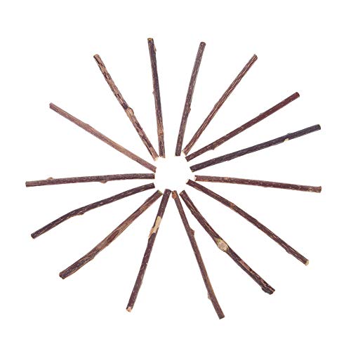 HYUIND Katzensnacks Sticks Katzenminze Welpen Haustier Hunde Katze Kauen Molaren Spielzeug Obst Katzen Reinigung Zähne Lustige Beißen Squeak Bauble(15pcs) von HYUIND