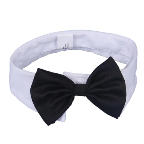 HYUIND Verstellbare formelle Haustier Fliege Kragen Krawatte for Katzen und Hunde Haustier Smoking Hochzeit Kostüm Kätzchen Katze Fliege Welpen Bowknot(2,L) von HYUIND