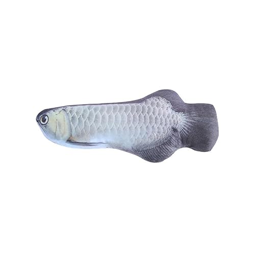 Haustier Plüsch Simulation Fisch mit Katze, Minze, Katzenspielzeug Karpfen, Herbst Messer Fisch, Karpfen, Katzenspielzeug Katzenspielzeug for Hauskatzen(Silver arowana) von HYUIND