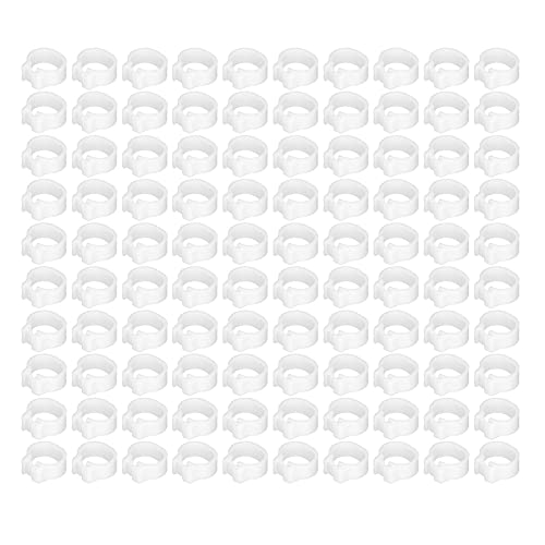 HYWHUYANG 8 mm 100 Stück Vogeltauben-Beinringe, mehrfarbige Kunststoff-Fußbänder zum Anklipsen von Beinringen, Geflügel-Beinringe für Zwergfinken, Turteltauben, Turteltauben, (White) von HYWHUYANG