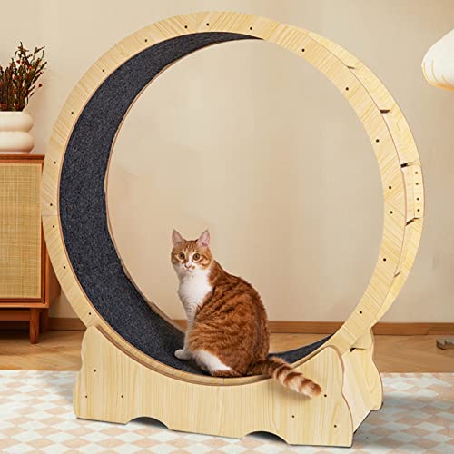 Cat Wheel Wood Grain Cat Laufband Leise und keine Öffnung, Indoor Round Corner Cat Safety Wheel mit Verriegelung von HZWJD