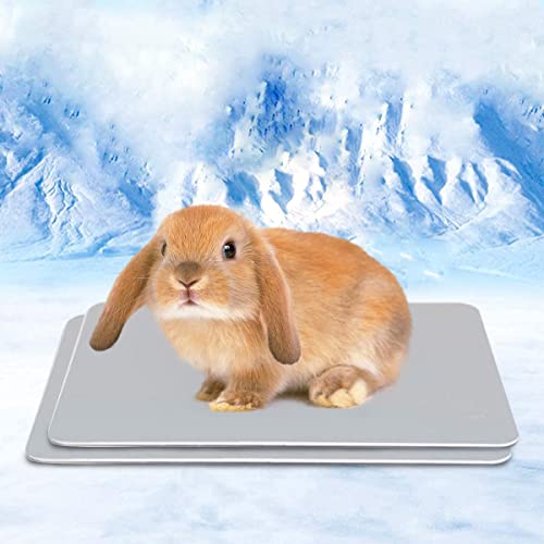 HZxoAxo Kühlmatte für Kaninchen, 30 x 20 cm, selbstkühlend, bissfest, für kleine Tiere, Hamster, Meerschweinchen, Chinchilla, Kätzchen, Welpen, 2 Stück von HZxoAxo