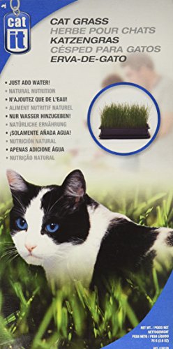 Hagen Cat Grass 85 G von Hagen