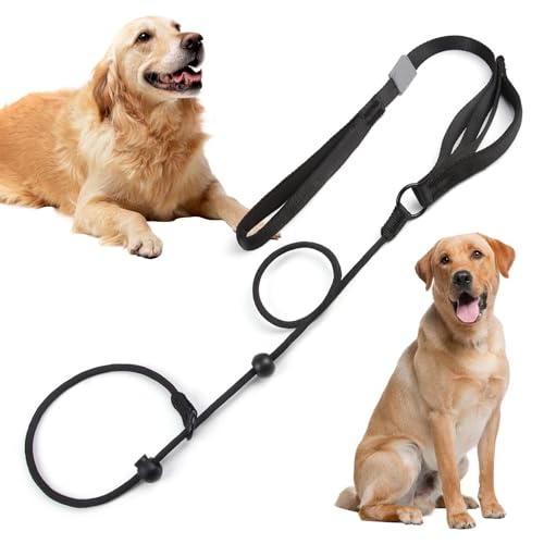 Retrieverleine für Hunde mit bequemem Griff, verstellbares Halsband, 1,7 m, robuste Trainingsleine, Anti-Erstickung, Anti-Ziehen, Outdoor-Trainingsseil für kleine, mittelgroße und große Hunde von Hahhhha