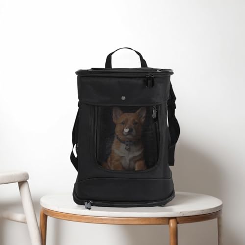 Haustier Rucksack Träger, Groß, atmungsaktives Mesh, für Katzen, Kleine Hunde, Welpen, tragbar für Outdoor, Reise, Wandern, Camping, Airline genehmigt von HaiYiZuhause