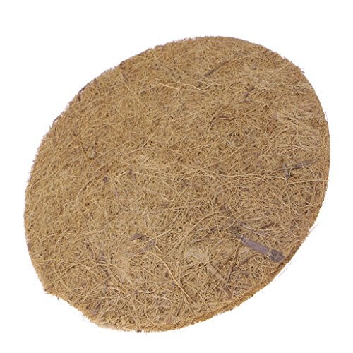 Haiki For Supplies Schüssel Grasmatte Entfeuchtung Vogeleier Becken Nest Accesso Supplies Wasser von Haiki