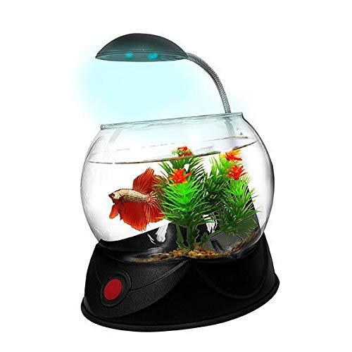 Tommi 05077 Magic Ball schwarz, 1,8l Fisch Schüssel Set von Hailea