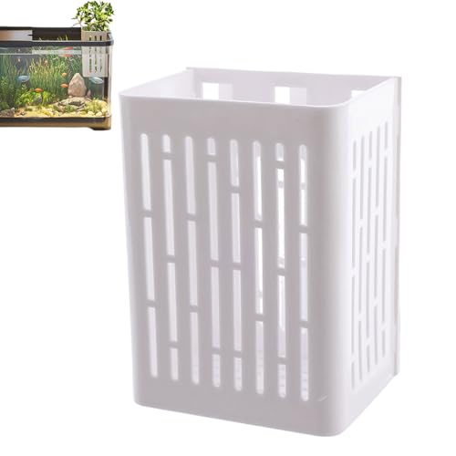 Pflanzenhalter für Aquarium – Wasserpflanzen-Netztöpfe, wandmontierter Clip, platzsparende Tassen, Töpfe für Wasserfütterung, Gartenteich-Dekoration Pflanzenhalter für Aquarium – Wasserpflanzen-Netztöpfe, wandmontierter Clip, platzsparende Tassen, Töpfe für Wasserfütterung, Gartenteich-Dekoration von Hailerio
