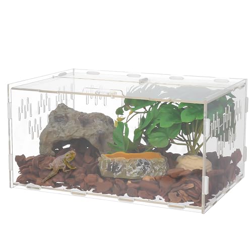 Halinuia Schnecken Terrarium, 30x20x15 cm Acryl Reptilien Terrarium Transportbox,Transparent Insekten Terrarium für Schnecken,Wasserschildkröten,Spinnen,Hamster,Einsiedlerkrebs,Echse von Halinuia