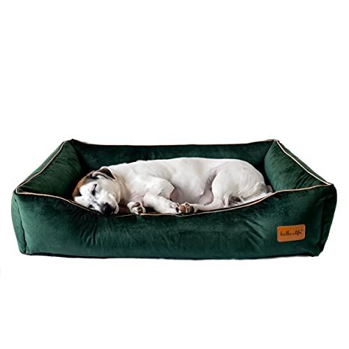 Halkalife Hundesofa – Hundebett – Hundebett mit hohen Seiten – Hundesofa aus Velours – Abnehmbares Bett für einen mittelgroßen Hund – waschbares Hundesofa (M (80x50x18 cm), Flaschengrün) von Halkalife