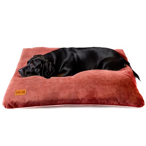 Halkalife Schlafkissen für große Hunde. Hundekissen aus Velours. Leicht zu reinigender, haustierfreundlicher Stoff für Hundebetten. (XL, Rosa) von Halkalife