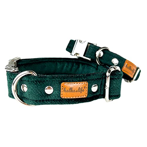 Hundehalsbänder aus Samt – Dickes und langlebiges Halsband für Hunde – Starke Metallschnalle und leicht zu reinigendes Hundehalsband – Hergestellt in der EU (Flaschengrün, L (2,5 cm / 37-57 cm)) von Halkalife