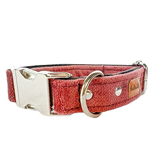 Hundehalsbänder aus Samt – Dickes und langlebiges Halsband für Hunde – Starke Metallschnalle und leicht zu reinigendes Hundehalsband – Hergestellt in der EU (Schmutziges Rosa, M (2,5 cm / 27-44 cm)) von Halkalife