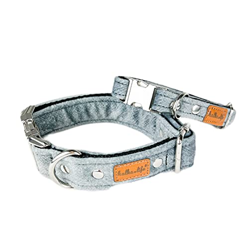 Hundehalsbänder aus Samt. Dicke und strapazierfähige Halsbänder für Hunde und Katzen. Wasserdicht und leicht zu reinigen. (Grau, XS (1,5 cm / 17-28 cm)) von Halkalife