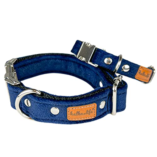 Hundehalsbänder aus Samt – Dickes und langlebiges Halsband für Hunde – Starke Metallschnalle und leicht zu reinigendes Hundehalsband – Hergestellt in der EU (Marineblau, XS (1,5 cm / 17-28 cm)) von Halkalife