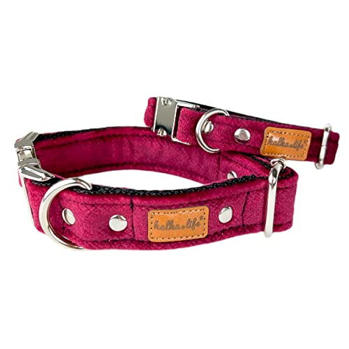 Hundehalsbänder aus Samt – Dickes und langlebiges Halsband für Hunde – Starke Metallschnalle und leicht zu reinigendes Hundehalsband – Hergestellt in der EU (Kirsche, S (1,5 cm / 25-35 cm)) von Halkalife