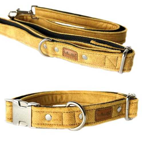 Hundeleine und Halsband – Set für einen Hund mit Leine und Halsband – Doppellagiges, Starkes Halsband mit Metall- oder Kunststoffschnalle (Gelb, M (Metallschnalle)) von Halkalife