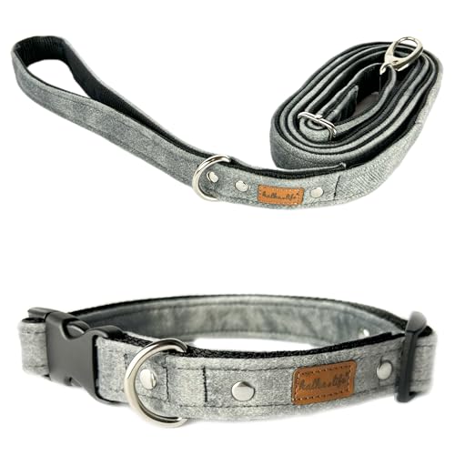 Hundeleine und Halsband – Set für einen Hund mit Leine und Halsband – Doppellagiges, Starkes Halsband mit Metall- oder Kunststoffschnalle (Grau, L (Kunststoffschnalle)) von Halkalife