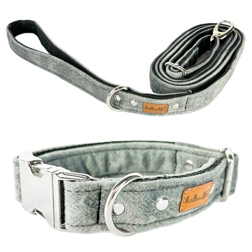 Hundeleine und Halsband – Set für einen Hund mit Leine und Halsband – Doppellagiges, Starkes Halsband mit Metall- oder Kunststoffschnalle (Grau, L (Metallschnalle)) von Halkalife