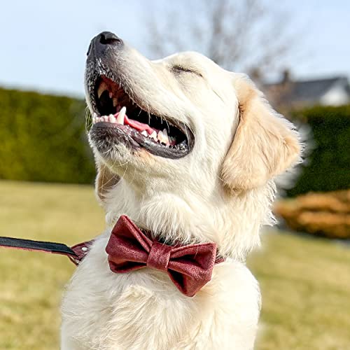 Luxuriöse Fliegen für Haustiere. Hunde und Katzen strapazierfähige und Dicke Fliegen. (L, Schmutziges Rosa) von Halkalife