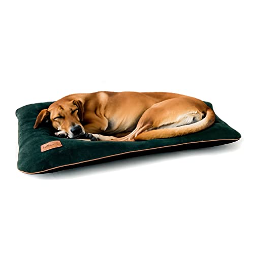 Robustes Hundekissen aus Samt. Haustierfreundliches Materialbett für Haustiere. Schlafkissen für Hunde. Hundekissen aus Samt. (L, Flaschengrün) von Halkalife