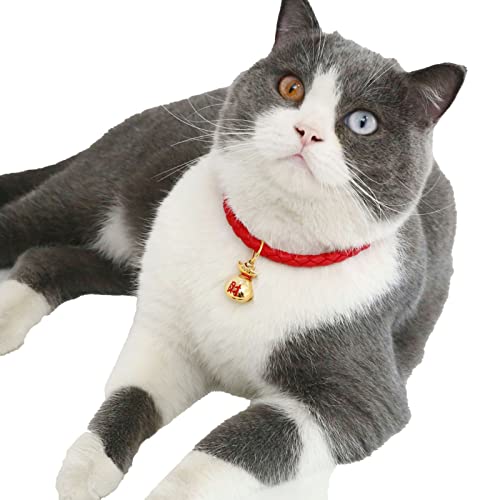 Haloppe Katze Halskette Glückssack Laterne Haustier Halsband Blickfang Rot M von Haloppe