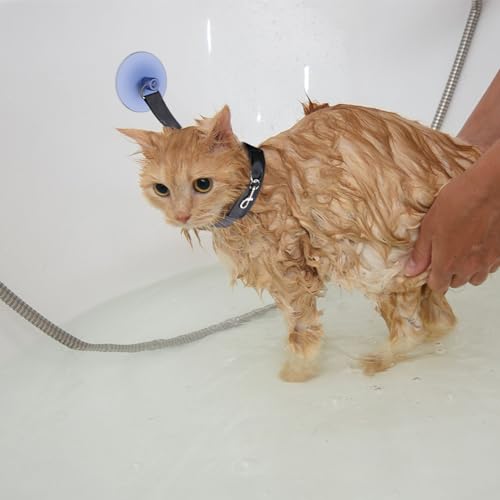 Haloppe Katzen-Badeschirr, verstellbarer Haustier-Badehalter mit Saugnapf, festes Seil, Haustierpflege, Dusche, Badegeschirr, Leine für Katzen, Hunde, Schwarz von Haloppe