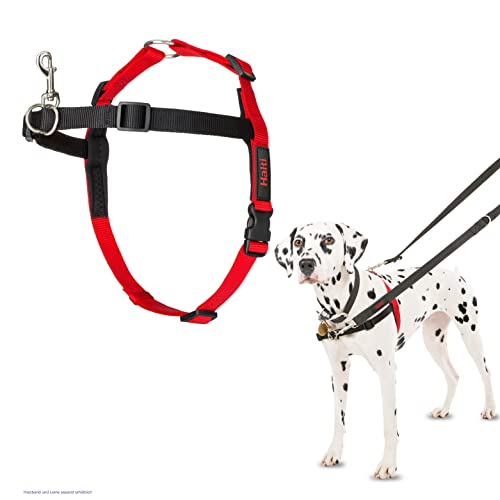 HALTI Front Control Anti-Zug Geschirr, Größe Mittel - Verhindert, dass Ihr Hund an der Leine zieht, Kontrollieren Sie Ihren Hund sanft über den Brustbereich, Einfache Anpassung und Benutzung von Company of Animals