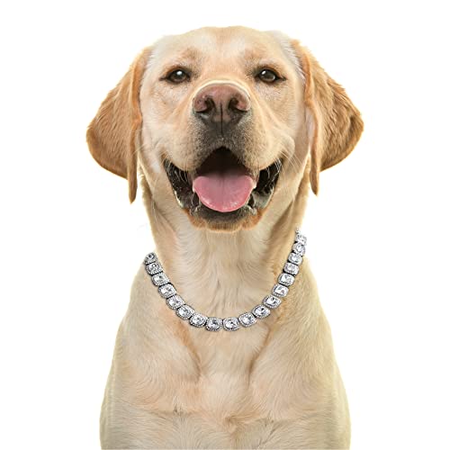 Halukakah Goldkette Geclustert Diamant für Große Hunde,Tenniskette Halskette Kragen Platin Weißgold Überzogen VVS Qualität Labor Diamanten Klar Farbe 40cm Größe mit Geschenkbox,Nur Dekoration von Halukakah