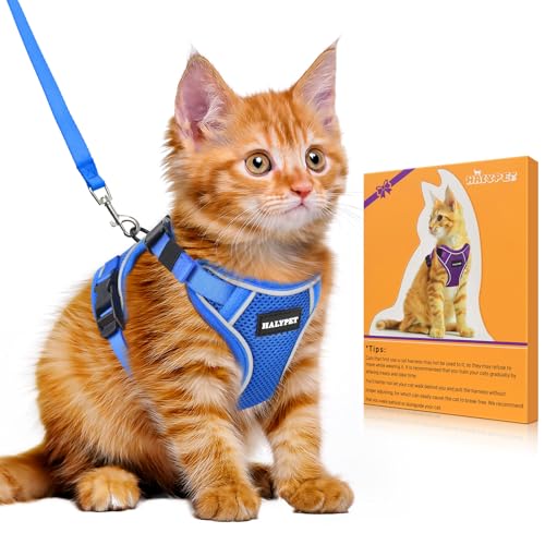 Halypet Katzengeschirr und Leine, Set [H600 Pro ausbruchsicheres Katzengeschirr, H600, Blau, Größe M) von Halypet