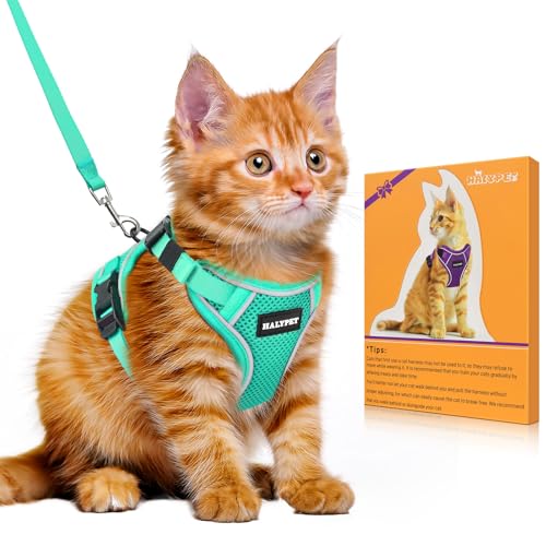 Halypet Katzengeschirr und Leine, Set [H600 Pro ausbruchsicheres Katzengeschirr, H600, Grün, Größe XS von Halypet