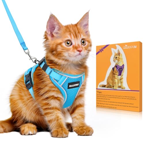 Halypet Katzengeschirr und Leine, Set [H600 Pro ausbruchsicheres Katzengeschirr, H600, Himmelblau, Größe M von Halypet