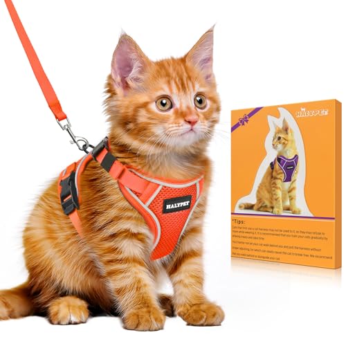 Halypet Katzengeschirr und Leine, Set [H600 Pro ausbruchsicheres Katzengeschirr, H600, Orange, Größe M) von Halypet