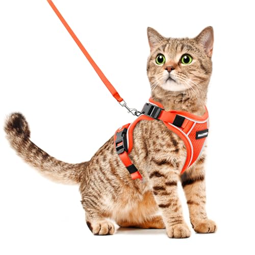 Halypet Katzengeschirr und Leine, Set [H600 Pro ausbruchsicheres Katzengeschirr, H600, Orange, Größe M) von Halypet