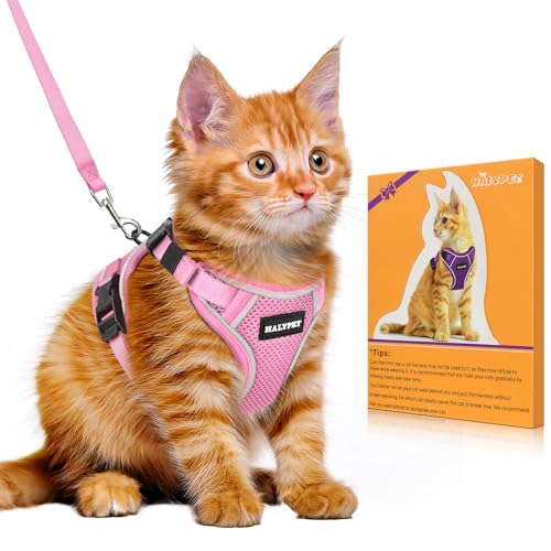 Halypet Katzengeschirr und Leine, Set [H600 Pro ausbruchsicheres Katzengeschirr, H600, Rosa, Größe M) von Halypet