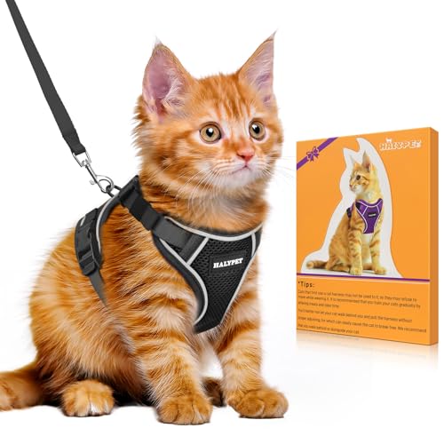 Halypet Katzengeschirr und Leine, Set [H600 Pro ausbruchsicheres Katzengeschirr, H600, Schwarz, Größe M) von Halypet