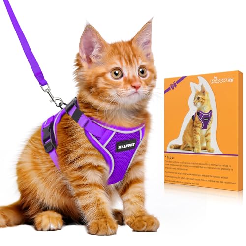 Halypet Katzengeschirr und Leine, Set [H600 Pro ausbruchsicheres Katzengeschirr, H600, Violett, Größe M) von Halypet