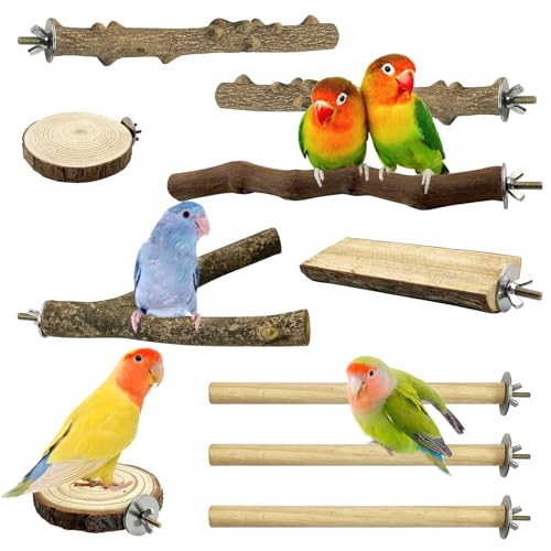 Hamiledyi 10 Stück Vogelsitzstange Papageienholz Sitzstange Papageienständer Ast Pfote Schleifgabel Sittich Plattform Vogelkäfig Zubehör für kleine Vögel Conure Chinchilla Sittiche Wellensittiche von Hamiledyi