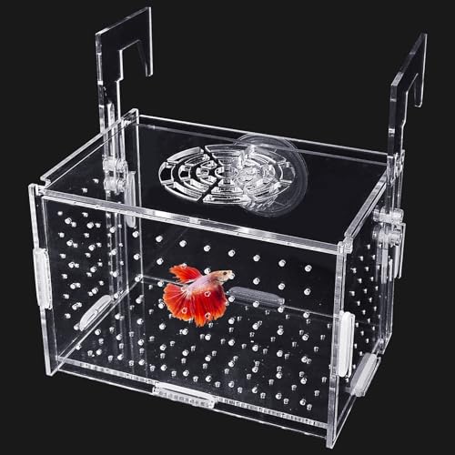 Hamiledyi Acryl Fisch Zuchtbox Fisch Isolation Box Fisch Trennbox Aquarium Fisch Brutkasten für Guppy Garnelen Kleine Babyfische (15 cm × 9,9 cm × 9,9 cm × 9,9 cm) von Hamiledyi