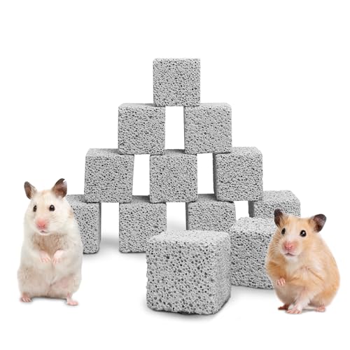 Hamiledyi Chinchilla Lavablöcke für Kaninchen, Kauspielzeug, Kaninchen, Lava-Zähne, quadratischer Stein, Kleintiere, Mineral-Kalziumstein, für Hamster, Kaninchen, Chinchillas, Eichhörnchen, Maus, von Hamiledyi