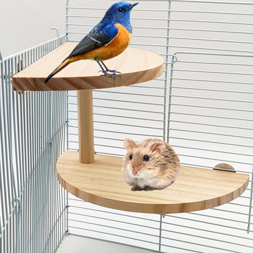 Hamiledyi Eichhörnchen Rennmäuse Zwerg Holz Plattform 2 Ebenen Natürliche Hamster Stehplattform Chinchilla Käfig Zubehör Vögel Sitzstange Papageien Aktivität Spielplatz von Hamiledyi