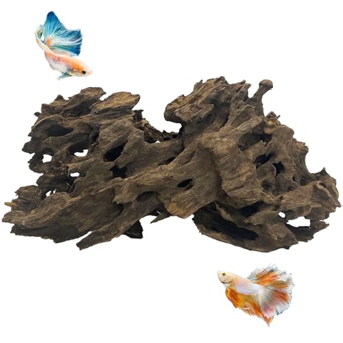 Hamiledyi Großes Treibholz für Aquarium-Dekoration, natürliches Aquarium-Holz mit Loch, Aquarium-Holz, Aquascaping für Garnelen, Betta, Einsiedlerkrebse und Schmetterlingsfische von Hamiledyi